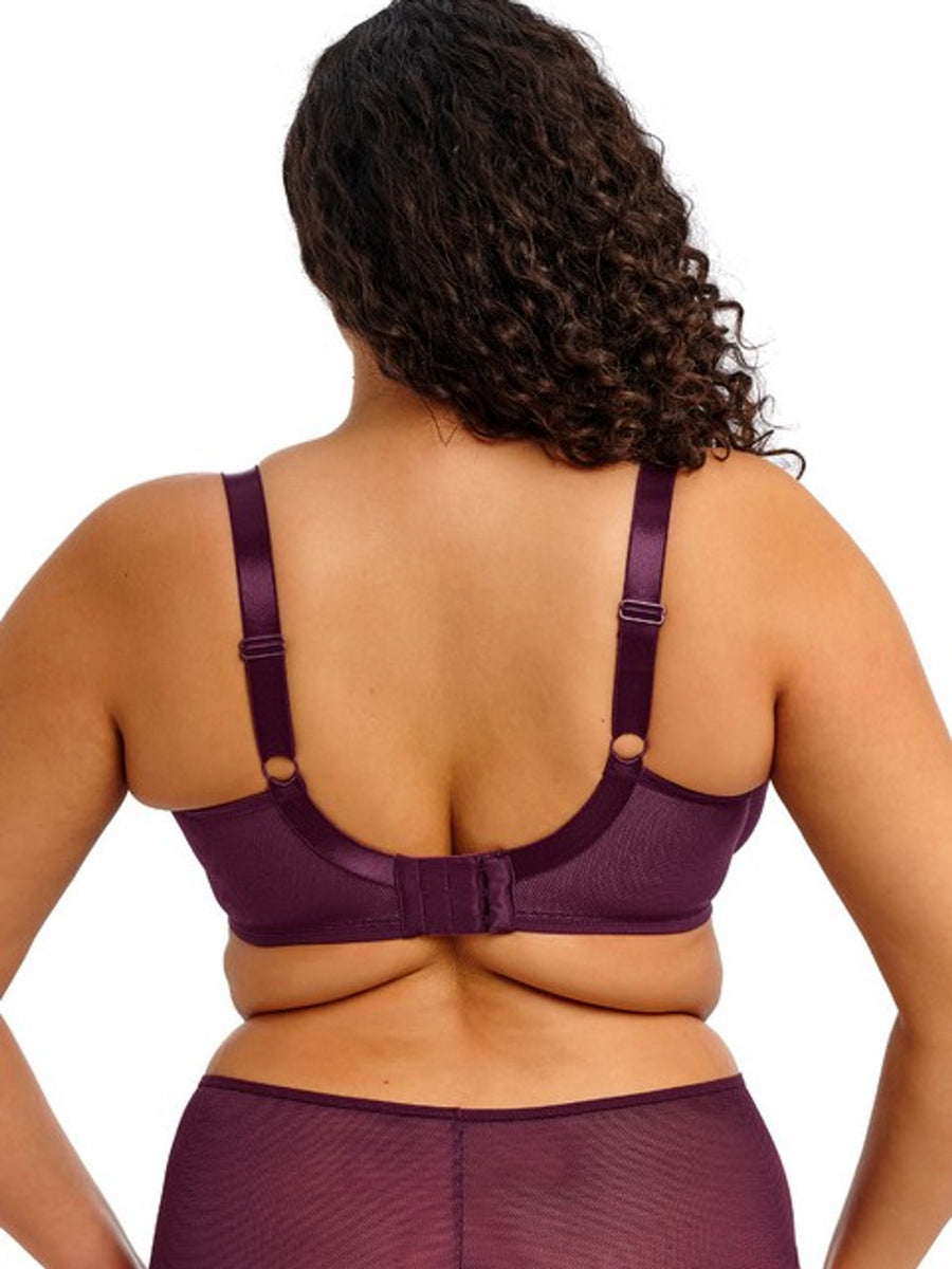 Elomi Kintai Plunge Bra - EL301202 - BLACKBERRY