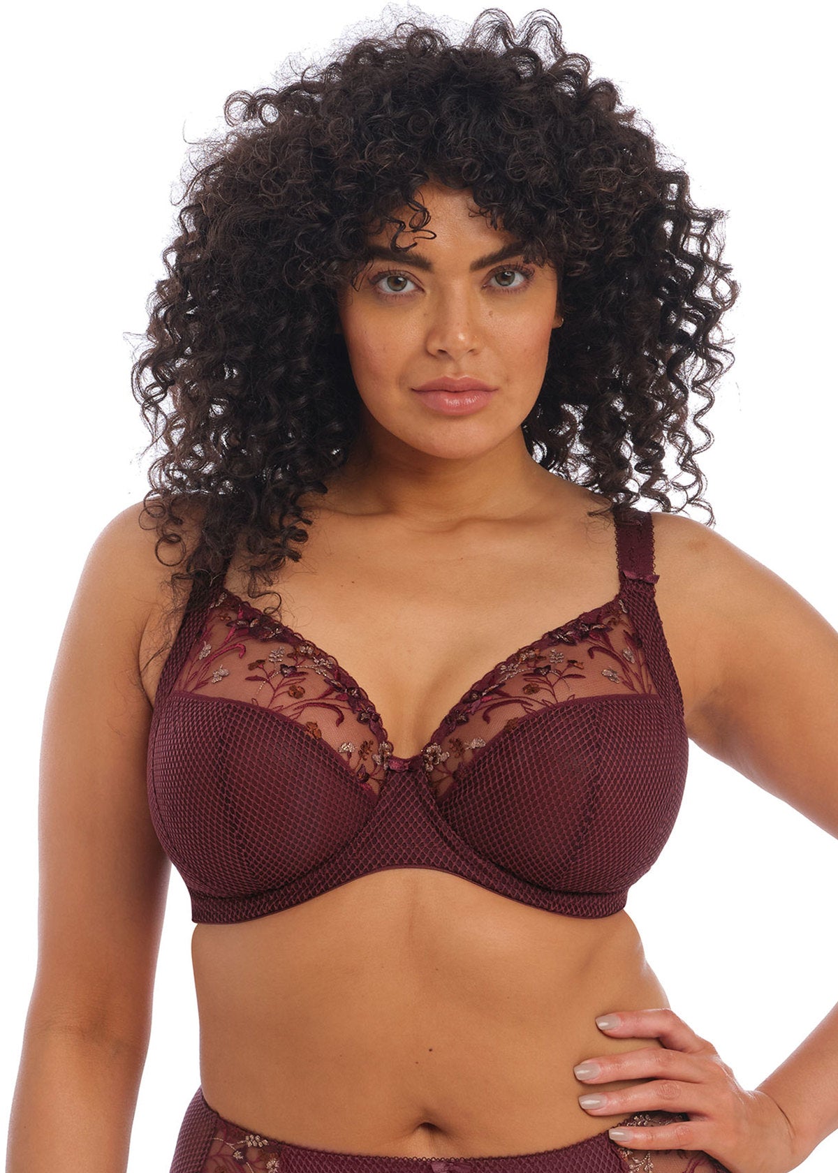 Elomi Womens Charley Plunge Underwire Bra : : Clothing, Shoes &  Accessories